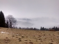 Mawadani - Bařinka