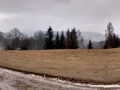 Mawadani - Bařinka