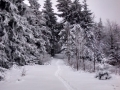 Mawadani - Bařinka