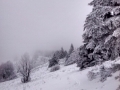 Mawadani - Bařinka