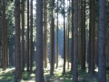 Chroboly 2014 (6)