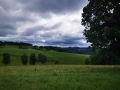 IMG_20210818_105713