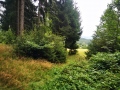 IMG_20210818_135459
