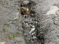 IMG_20210818_152351