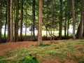 IMG_20210820_135001