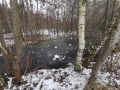IMG_20211211_141544