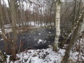 IMG_20211211_141548