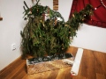 IMG_20211211_212338