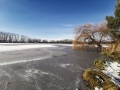 IMG_20211212_112800
